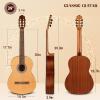 imageCAHAYA Acoustic Guitar For Beginner 38 Inch Cutaway All Wood Guitar Starter Kit for Kids Teenager Adults with Guitar bag Brass strings Capo String Pick Scale Stickers and Cloth CY0354natural