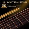 imageCAHAYA Acoustic Guitar For Beginner 38 Inch Cutaway All Wood Guitar Starter Kit for Kids Teenager Adults with Guitar bag Brass strings Capo String Pick Scale Stickers and Cloth CY0354orange