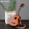 imageCAHAYA Soprano Ukulele for Beginner 21 Inch Ukulele Kit Starter with Carrying Bag Shoulder Strap Fretboard Stickers for Both Adults and Kids in Mahogany CY0335Brown