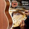 imageCAHAYA Soprano Ukulele for Beginner 21 Inch Ukulele Kit Starter with Carrying Bag Shoulder Strap Fretboard Stickers for Both Adults and Kids in Mahogany CY0335Dark Brown